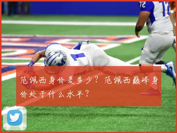 范佩西身价是多少？范佩西巅峰身价处于什么水平？