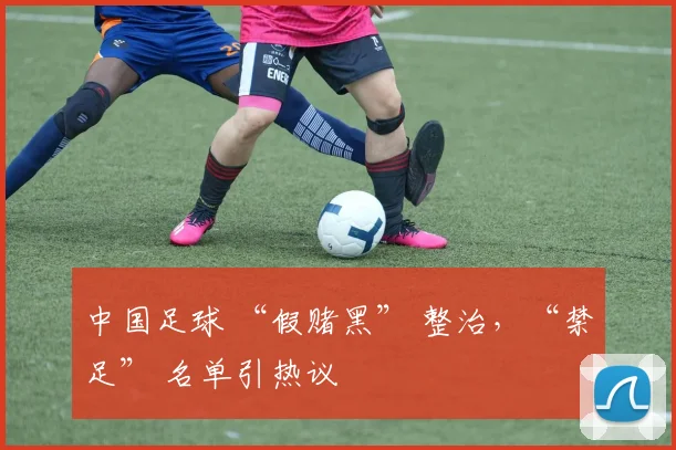 中国足球 “假赌黑” 整治，“禁足” 名单引热议