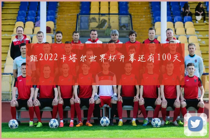 距2022卡塔尔世界杯开幕还有100天